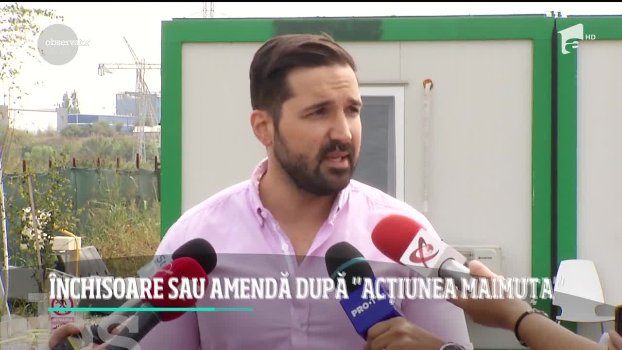 Maimuţa care a mobilizat zeci de forţe de ordine din Bucureşti a ajuns &icirc;ntr-un centru pentru animale sălbatice