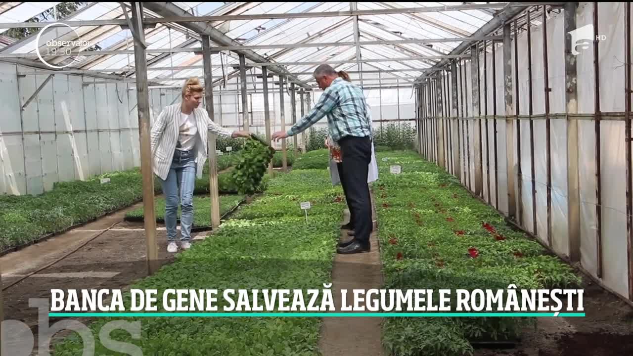 Rom&acirc;nia va avea pentru prima dată &icirc;n istorie o bancă genetică pentru plante, &icirc;n Buzău!