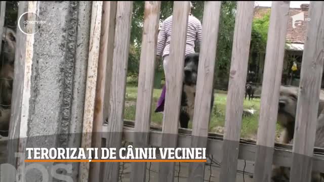 Oraşul lui Br&acirc;ncuşi s-a transformat pentru c&acirc;teva zile, &icirc;ntr-un veritabil platou de filmare!