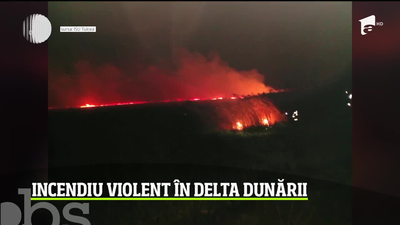 Zece hectare de vegetaţie uscată au fost cuprinse de flăcări &icirc;n zona Mila 23 din Delta Dunării