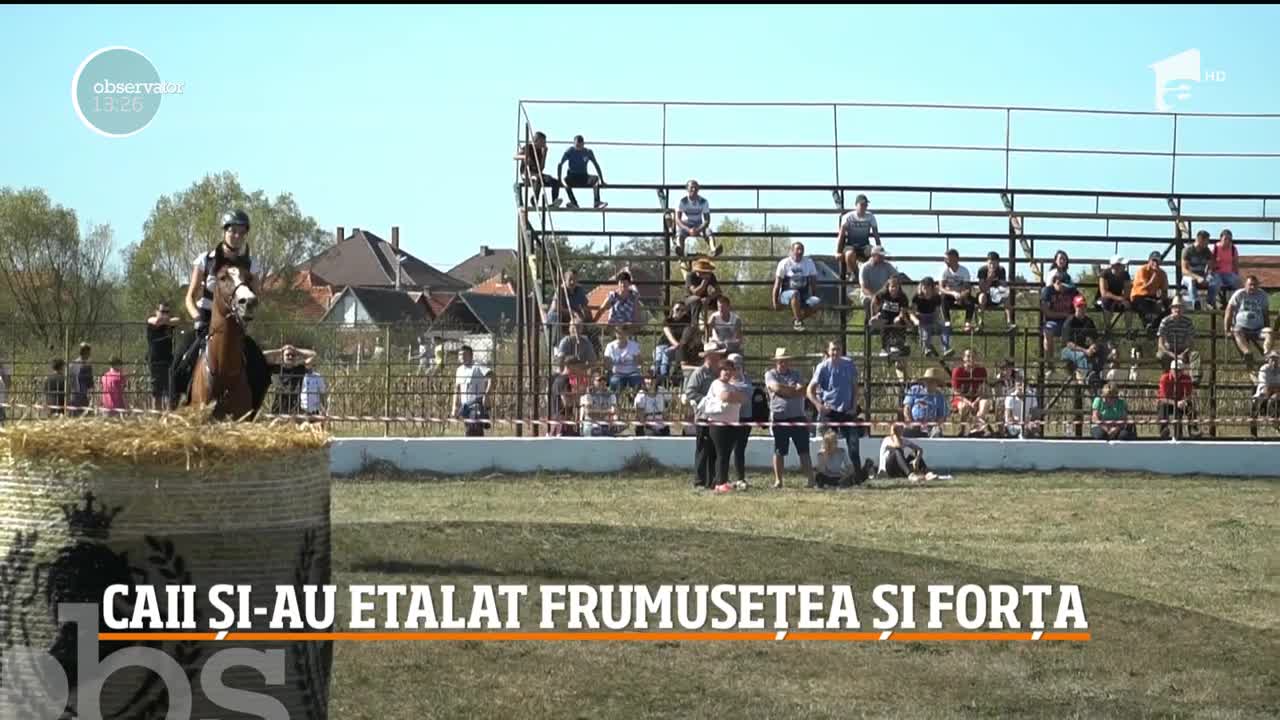 &Icirc;n localitatea Ardud din Satu Mare a revenit o veche tradiţie! Oamenii marchează din nou Ziua Calului, print-o competiţie ecvestră