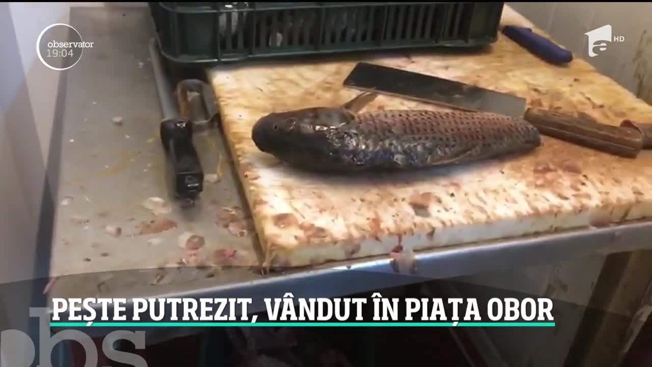 Peşte stricat şi marfă ţinută &icirc;ntr-un beci infestat de şobolani au descoperit inspectorii ANPC la un control-surpriză &icirc;n Obor