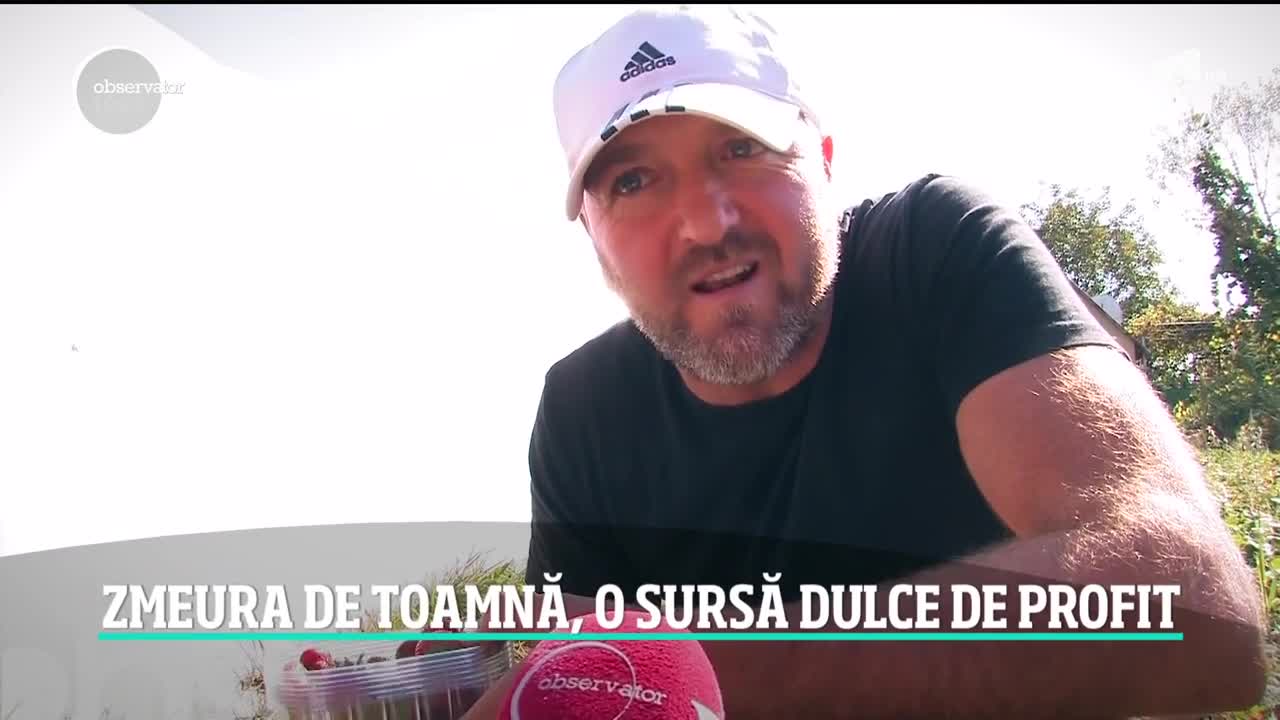 Zmeura de toamnă, o sursă dulce de profit