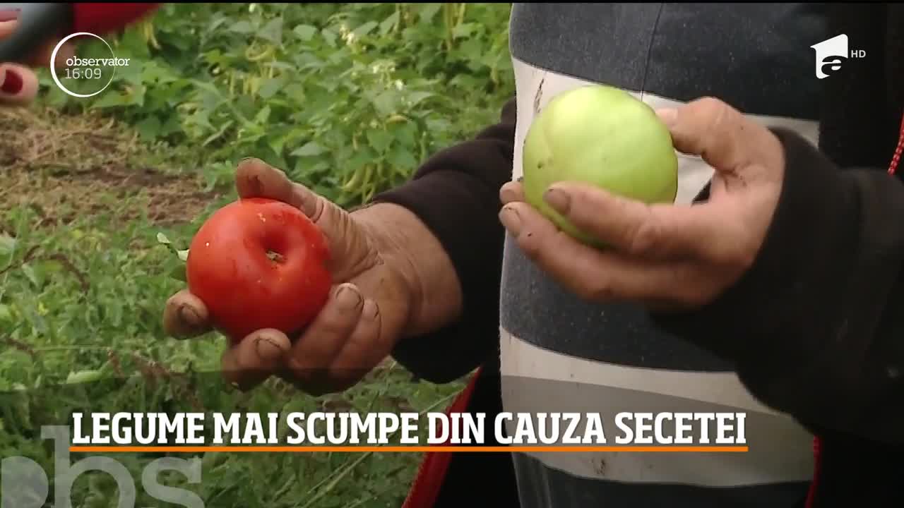 Legume mai scumpe din cauza secetei