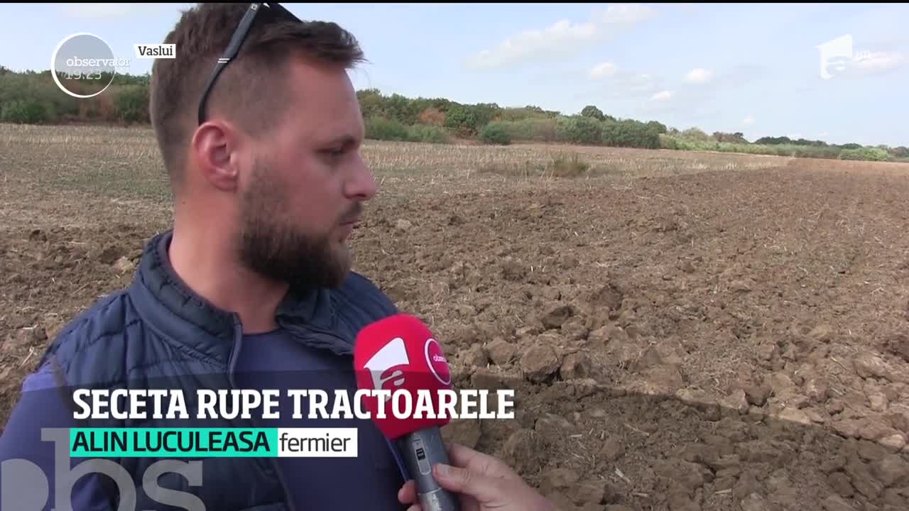 Seceta face ravagii &icirc;n multe judeţe din ţară