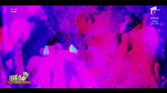 Hitul verii 2019, Mexico, c&acirc;ntat &icirc;n platoul de la Neatza cu Răzvan și Dani. Show marca Fly Project