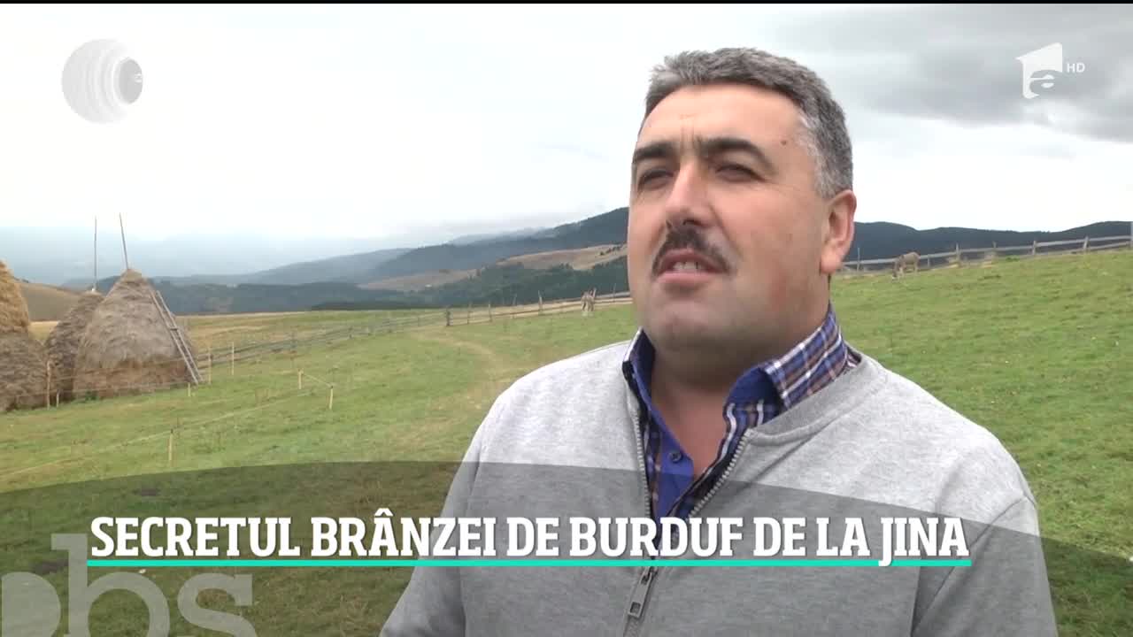 Br&acirc;nza de burduf este o delicatesă pe care o v&acirc;năm &icirc;n magazie. Culmea este că la stănă, acolo unde este preparată, este mai scumpă dec&acirc;t &icirc;n comerţ
