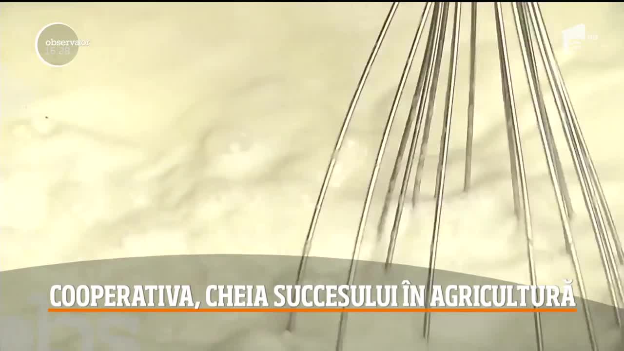 Cooperativa, chegia succesului &icirc;n agricultură