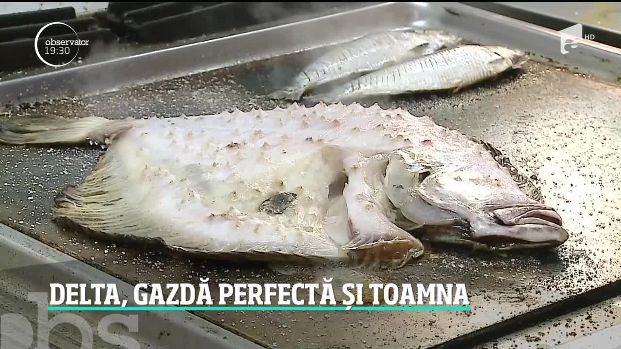 Delta Dunării, locul perfect pentru o vacanță de vis toamna