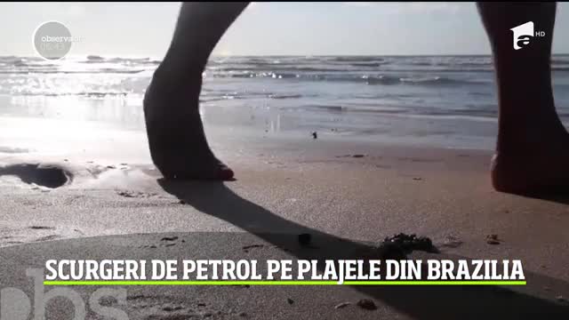 Situaţie critică din nou &icirc;n Brazilia, după ce pădurea amazoniană a ars. Acum sunt mari probleme pe plajele at&acirc;t de r&acirc;vnite de turişti