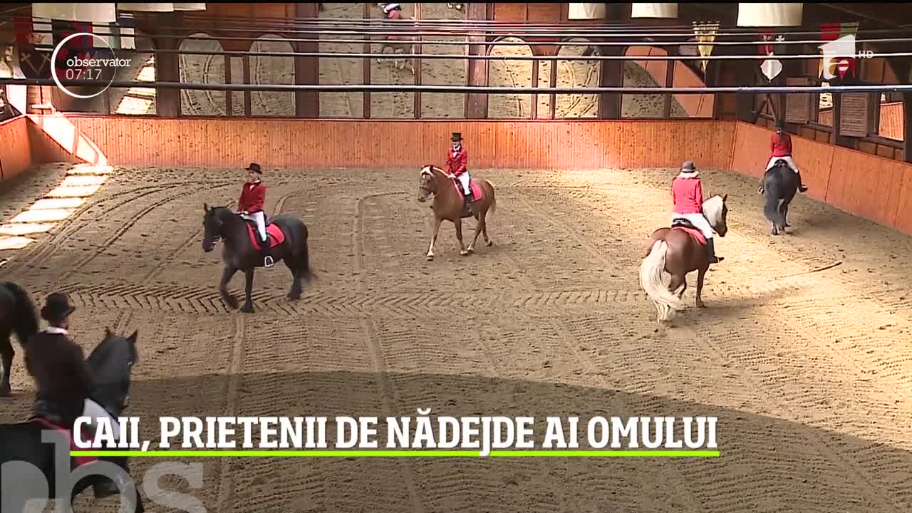Dracula Horse Festival, &icirc;n Mureş