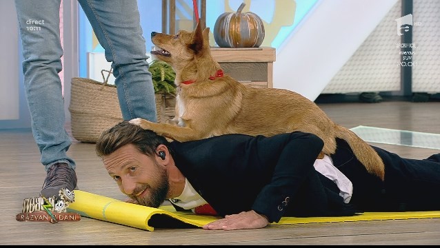 Moment inedit, la Neatza cu Răzvan și Dani! Dani Oțil a făcut flotari cu o "vulpe" pe spate