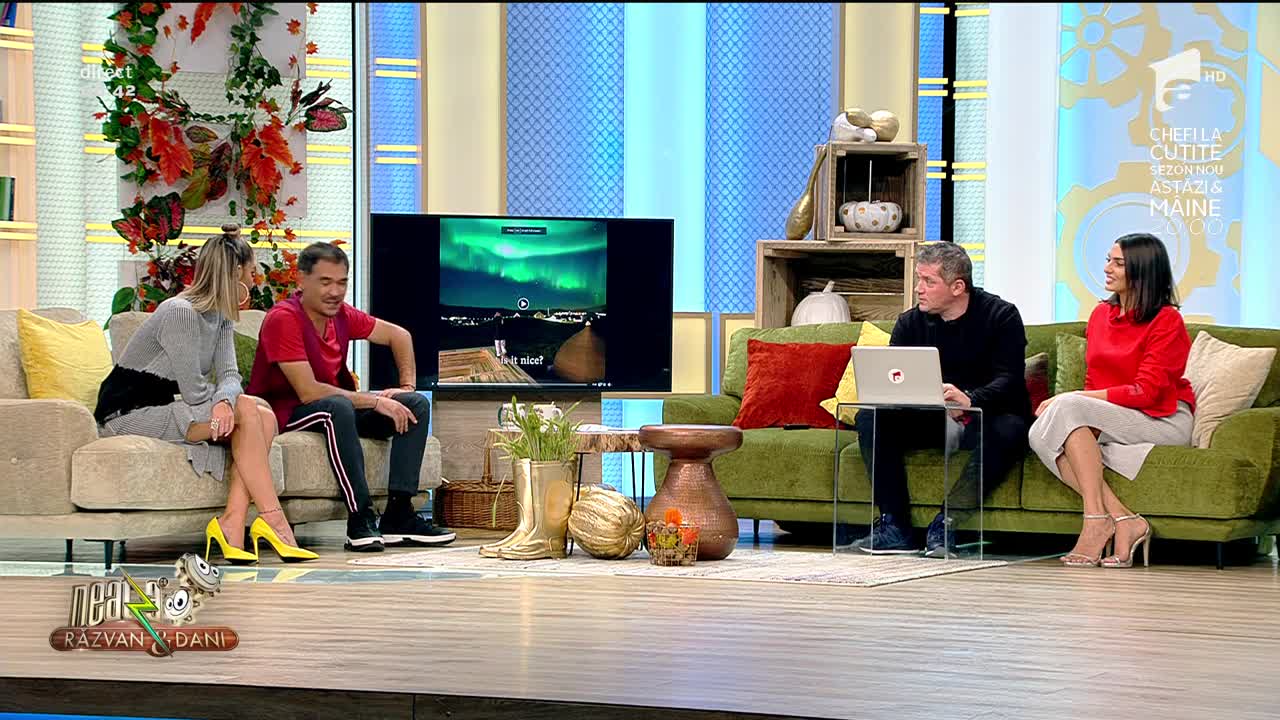 Smiley News - Neatza cu Răzvan și Dani. Vrei să &icirc;ți răsfeți pisica? Hai cu ea la un salon de masaj!