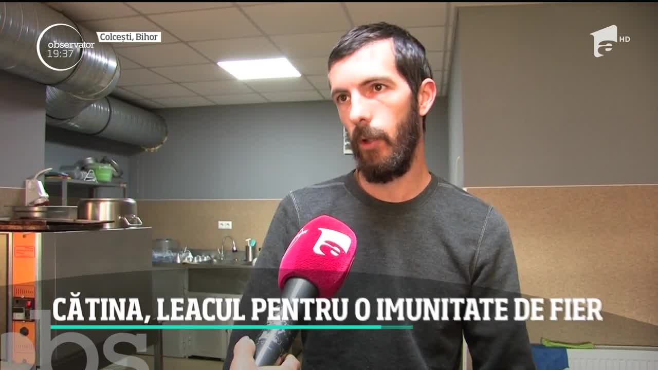 Cătina, leacul pentru o imunitate de fier