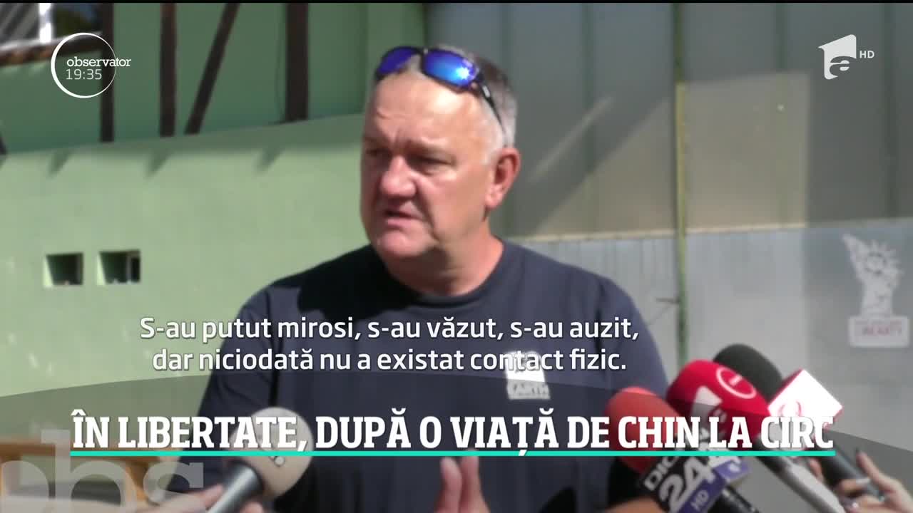 Cele două ursoaice care au trăit &icirc;n condiţii deplorabile &icirc;ntr-un circ din Ucraina au ajuns &icirc;n Rom&acirc;nia după un drum de aproape două zile