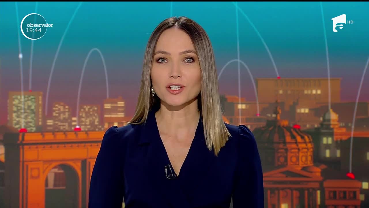 Un c&acirc;ine şi-a găsit rivalul: un alt c&acirc;ine de pluş. Bătălia se dă pentru atenţia stăp&acirc;nului de doar un an