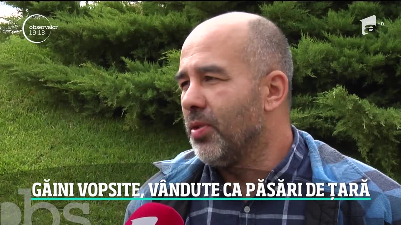 Au vopsit găinile ca să-i păcălească pe clienţi că v&acirc;nd produse de fermă. Ultima escrocherie &icirc;n materie de pui bio