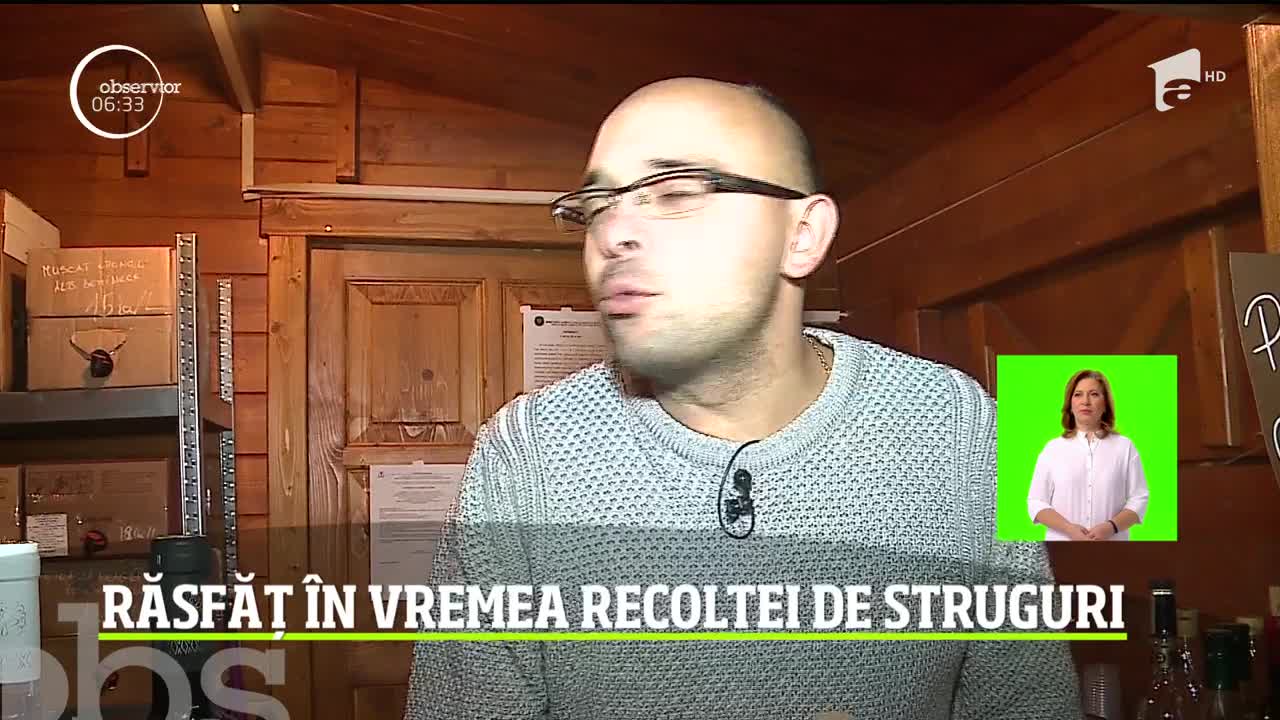 Răsfăț &icirc;n vremea recoltei de struguri la a 19-a ediţie a festivalului Simfonii de Toamnă, de la T&acirc;rgu Mureş