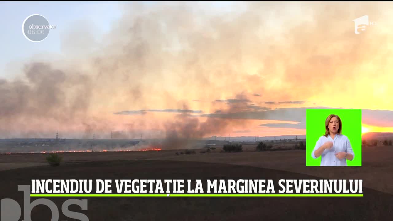 Puternic incendiu de vegetaţie &icirc;n judeţul Mehedinţi. Salvatorii s-au luptat ore &icirc;ntregi cu focul izbucnit pe c&acirc;mp, care ameninţa casele din apropiere