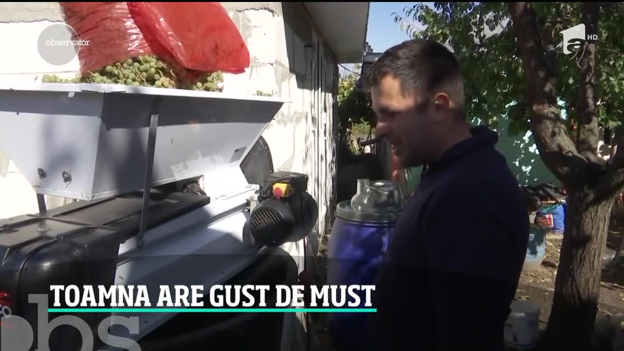 Toamna ne răsfaţă cu un must dulce şi aromat