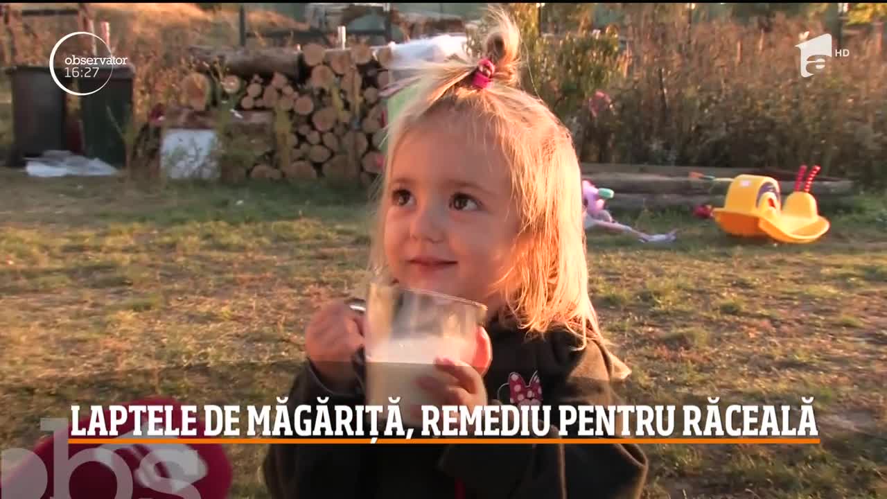 Laptele de măgăriţă, remediu natural &icirc;mpotriva virozelor