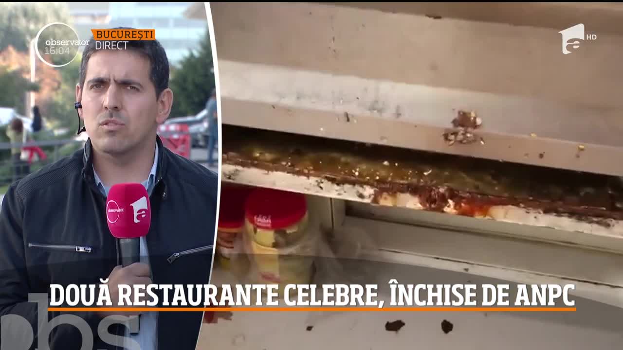 Două dintre cele mai cunoscute restaurante din nordul Capitalei au fost &icirc;nchise de inspectorii de la Protecţia Consumatorului!