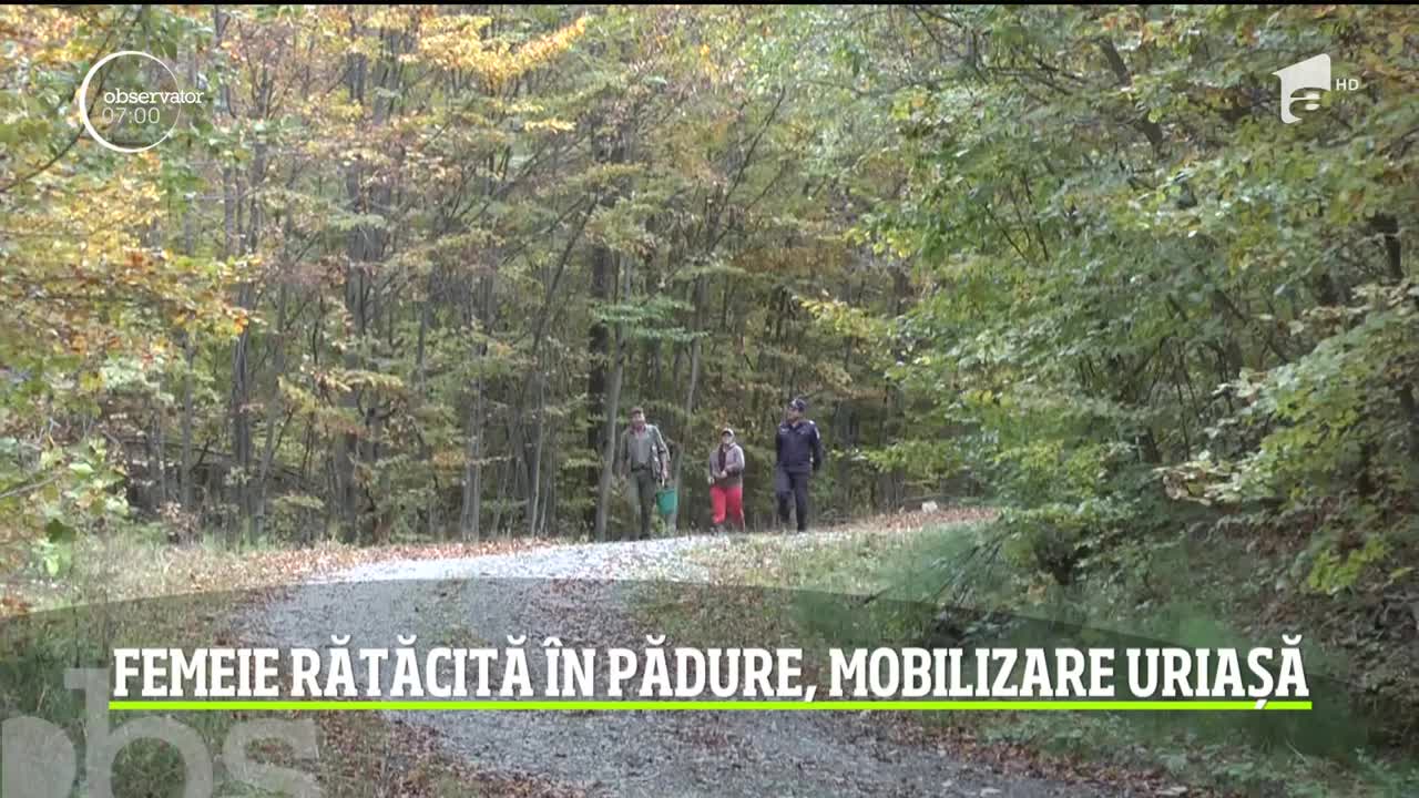 Misiune amplă de căutare &icirc;ntr-o pădure din Neamţ! Un apel la 112 al unui bărbat speriat că soţia sa a dispărut &icirc;n pădure a pus pe jar zeci de salvatori