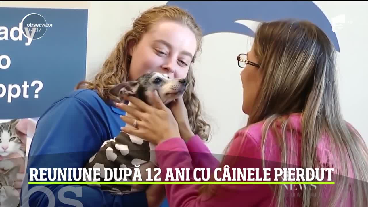 O femeie din SUA şi-a văzut c&acirc;inele pentru prima dată la 12 ani după ce animalul s-a pierdut