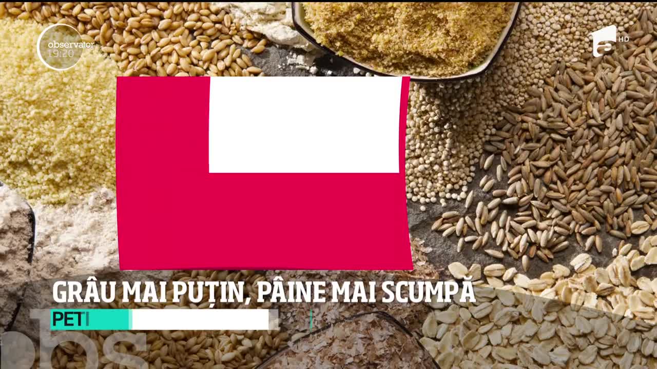 Agricutorii anunță scumpirea p&acirc;inii! Seceta a afectat culturile de gr&acirc;u. Producţia e mai puţină şi de o calitate mai slabă