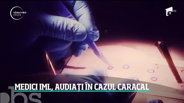 Informații noi &icirc;n cazul Caracal! Există suspiciuni că oasele găsite &icirc;n lizieră au fost "plantate"
