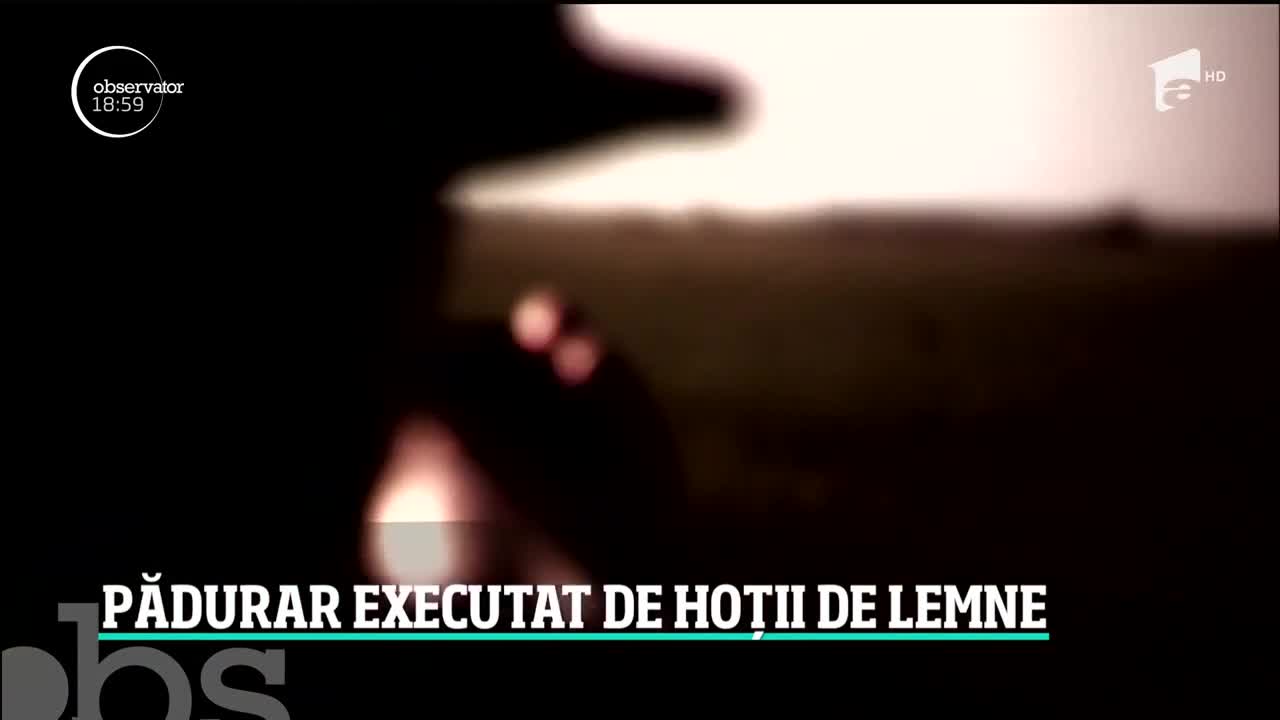 Legea junglei &icirc;n pădurile Rom&acirc;niei. Un pădurar, tată a trei copii, a fost executat cu s&acirc;nge rece de hoţii de lemne