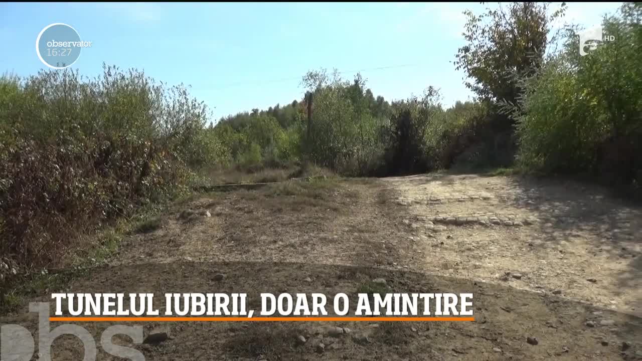 Tunelul Iubirii din Caraş Severin, doar o amintire. Paradisul iubiţilor a fost invadat de buruieni