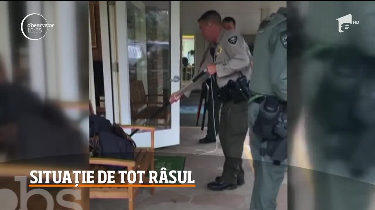 Un linx a intrat &icirc;ntr-o școală din statul Oregon. Elevii au tras o sperietură zdravană