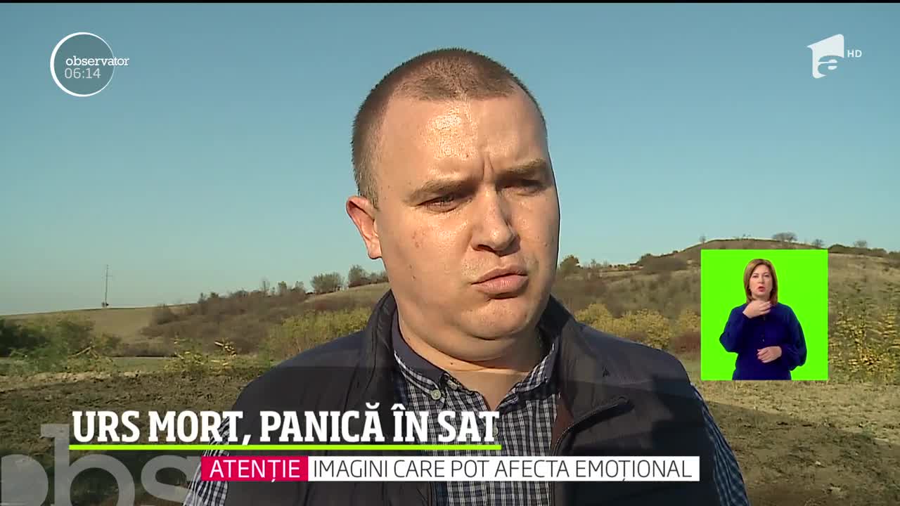 Locuitorii unui sat din Mureş s-au speriat c&acirc;nd au descoperit, &icirc;ntr-un şanţ, cadavrul unui urs