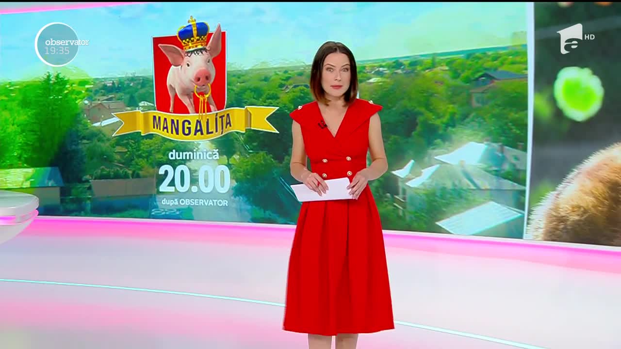 Noi situaţii tragi-comice &icirc;n Mangaliţa