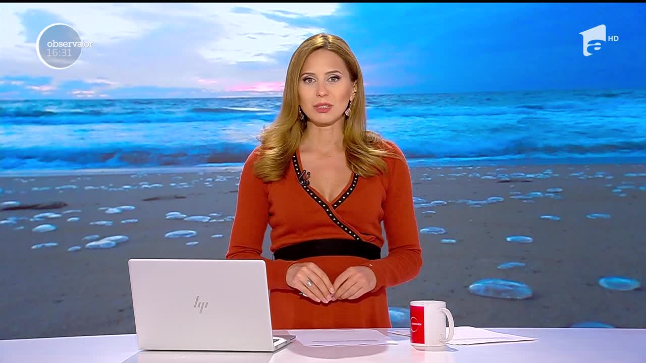 Apariţie inedită pe litoralul rom&acirc;nesc! Meduze de culoare albastră au invadat o plajă din Eforie Nord