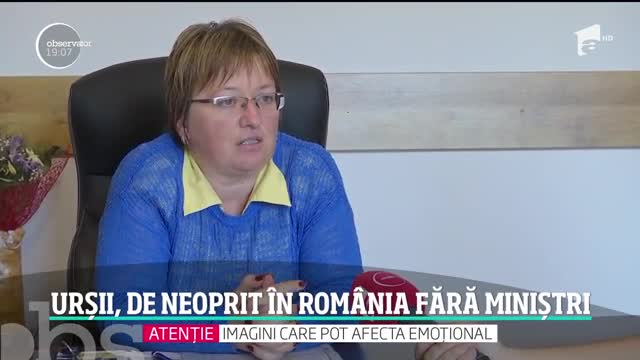 Noi imagini cu ursul care a atacat patru oameni &icirc;n Braşov! Animalul e liber şi nimeni nu-l mai caută