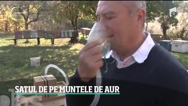 De pe mesele dacilor, &icirc;n farfuriile chefilor! O veche reţetă ciobănească a c&acirc;ştigat teren &icirc;n bucătăria rom&acirc;nească