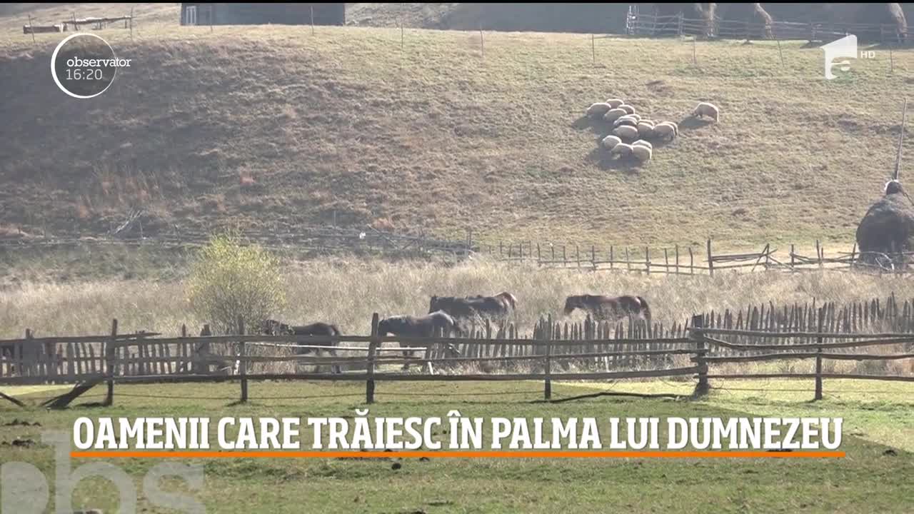 Fundătura Ponorului, un colţ de rai, ascuns &icirc;n Munţii Şureanu