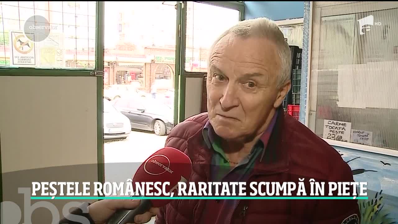 Peştele rom&acirc;nesc a devenit o marfă rară. 80 la sută din peştele pe care &icirc;l m&acirc;ncăm vine din import şi e congelat