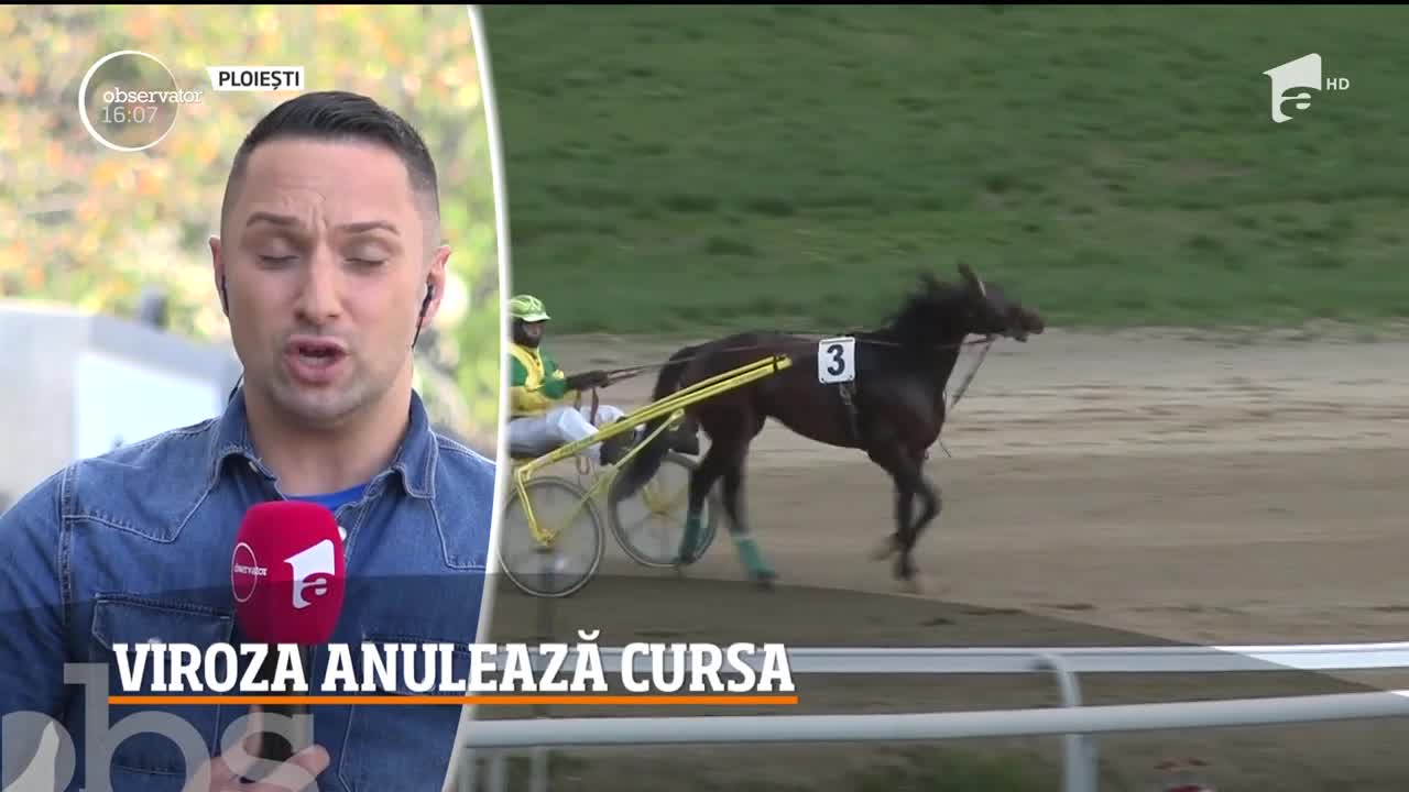 Cursa programată &icirc;n acest weekend la Hipodromul din Ploieşti a fost anulată, din cauză că mulţi cai s-au &icirc;mbolnăvit
