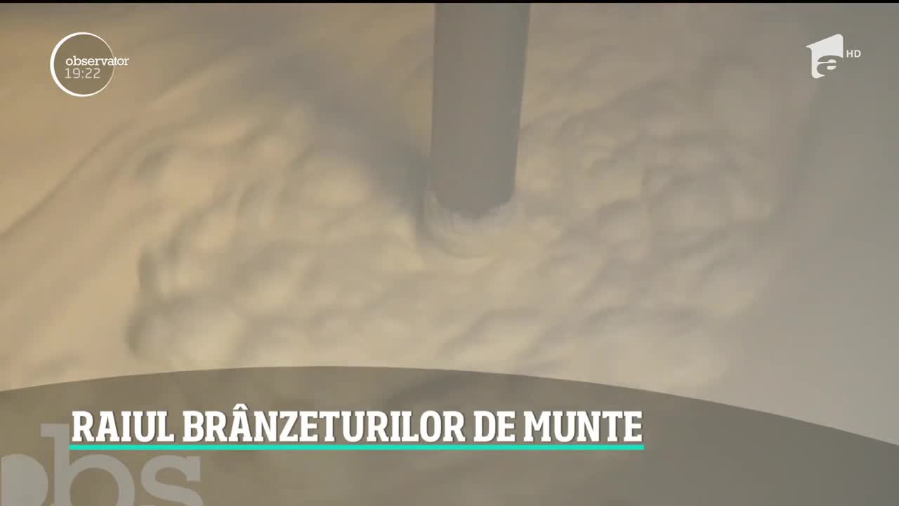 O br&acirc;nză rom&acirc;nească şi-a c&acirc;ştigat fani chiar şi peste ocean