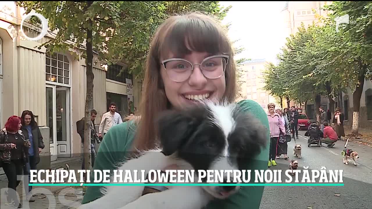Echipați de Halloween pentru noii stăp&acirc;ni