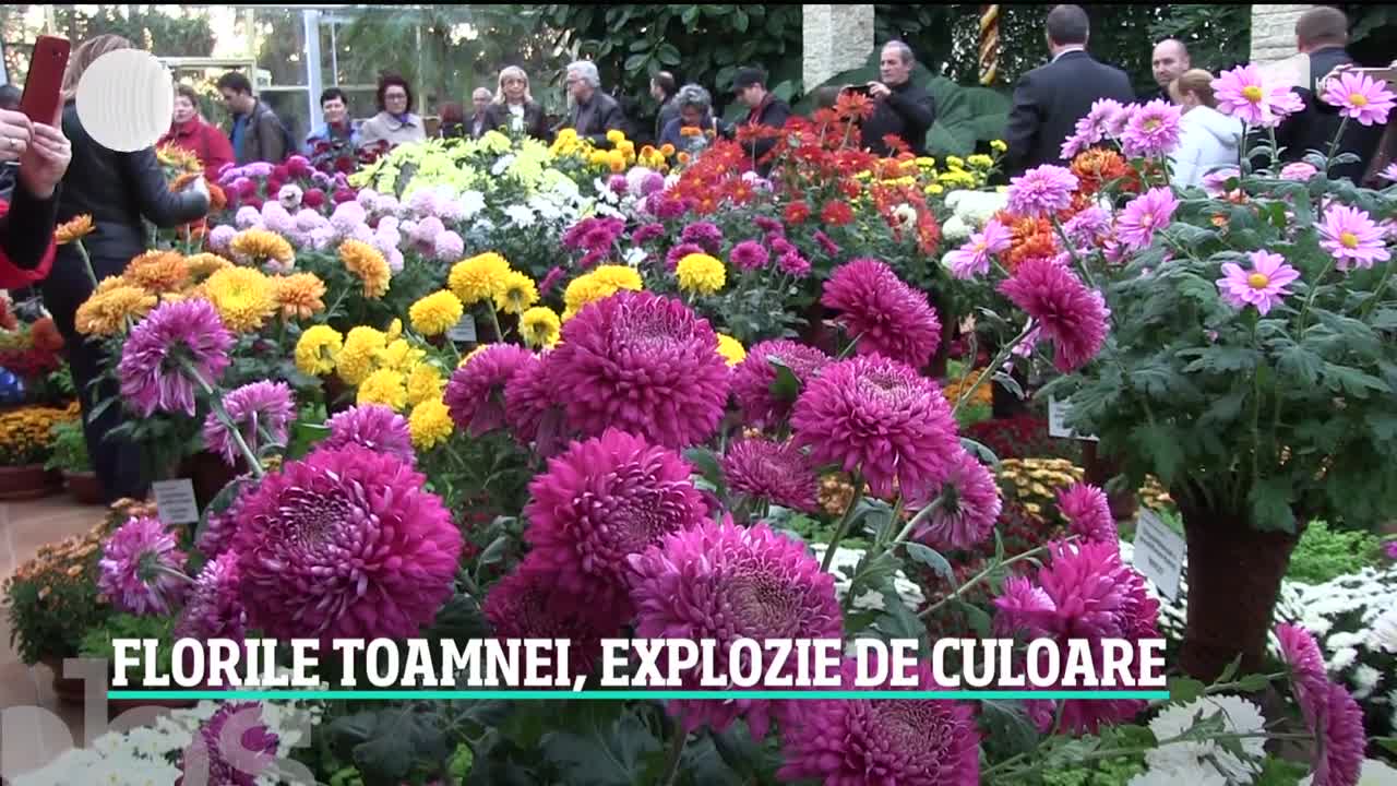 Locul &icirc;n care varza şi dovlecii decorativi le fac concurenţă florilor. Unde le puteţi admira