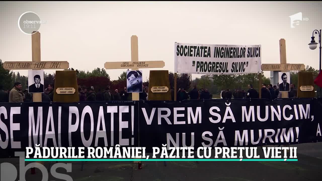 Cruci şi sicrie &icirc;n faţa Parlamentului, la protestul pădurarilor