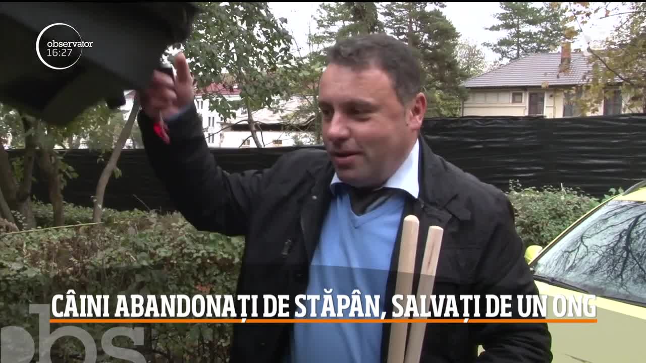 La un pas să se aleagă cu un dosar penal, după ce şi-a abandonat căţeluşa şi pe cei cinci pui ai săi