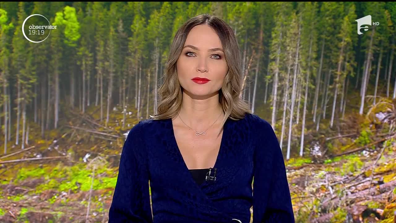 Copiii cer salvarea pădurilor. Zeci de copii care au organizat un protest inedit &icirc;mpotriva defrişărilor, &icirc;n Gorj