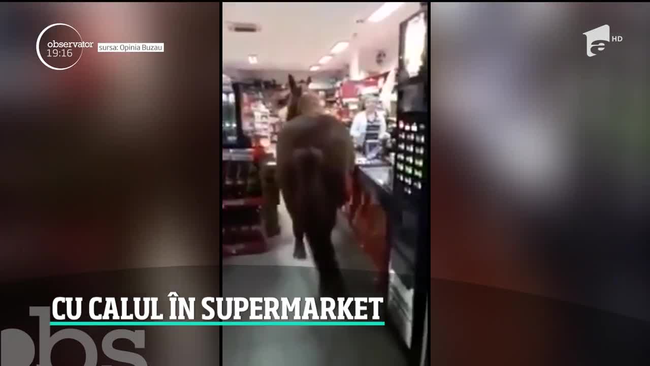 Imagine pur rom&acirc;nească &icirc;ntr-un supermarket din Buzău! Un cal se plimbă printre rafturi