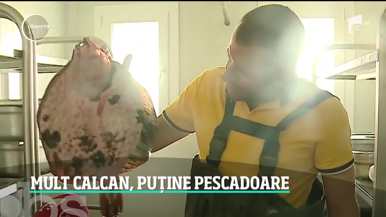 Rom&acirc;nia va pescui mai mult calcan, dar numai pe h&acirc;rtie! Cel mai scump peşte din marea noastră ajunge de fapt pe mesele bulgarilor