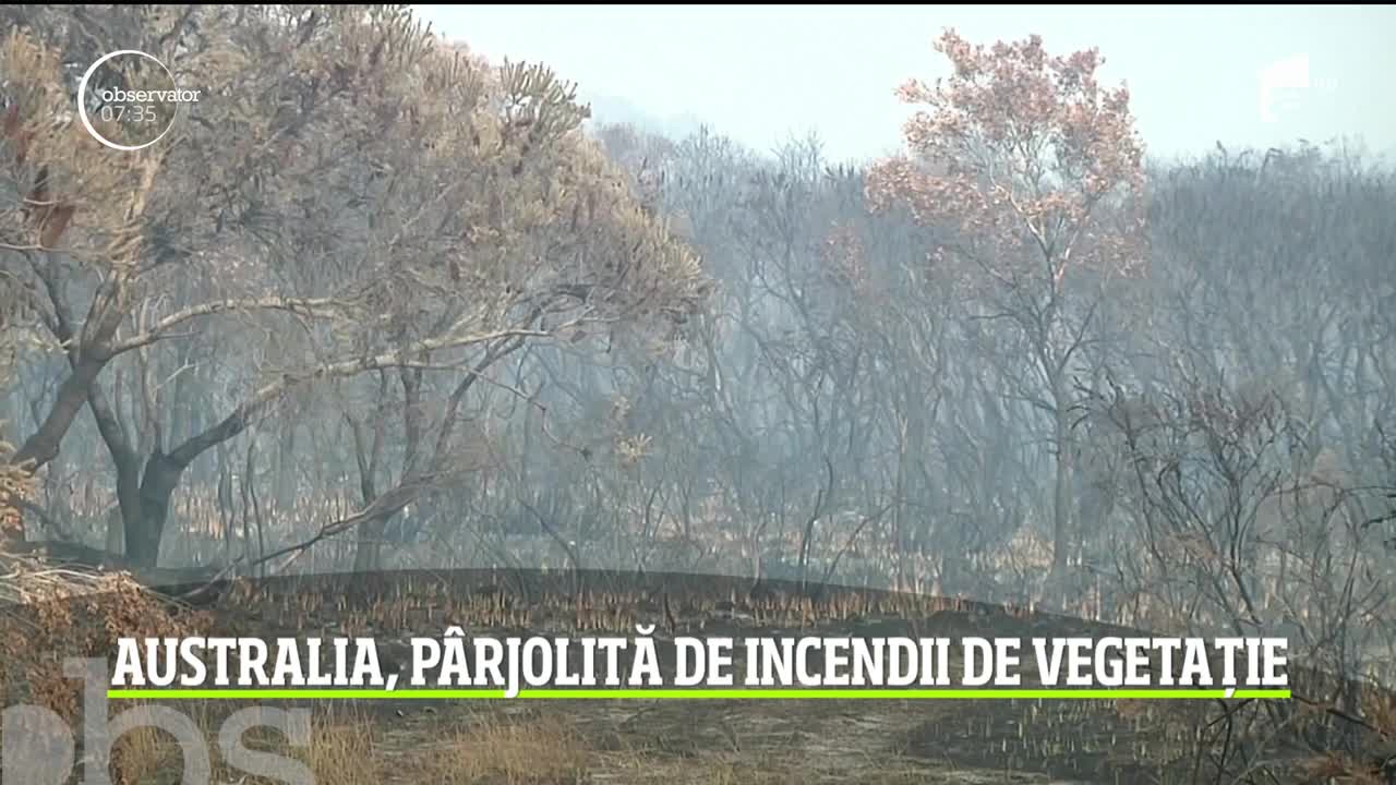 Incendiile de vegetaţie din Australia fac primele victime